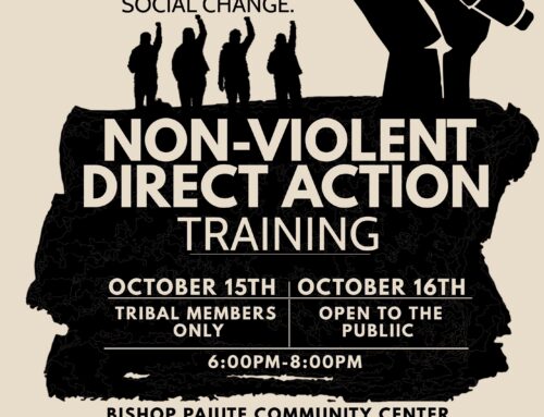 Non-Violent Direct Action Training